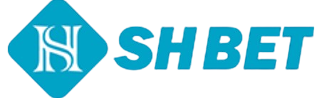 Shbetaa5 top